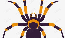 蜘蛛动漫,穿梭时空的奇幻冒险之旅