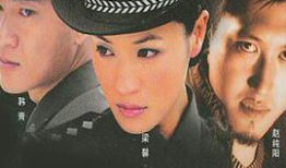 勋章电视剧全集,荣耀与牺牲的传奇